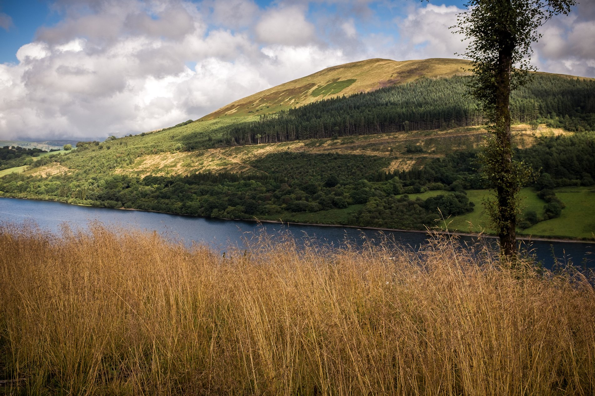 view across reservoir to hill
