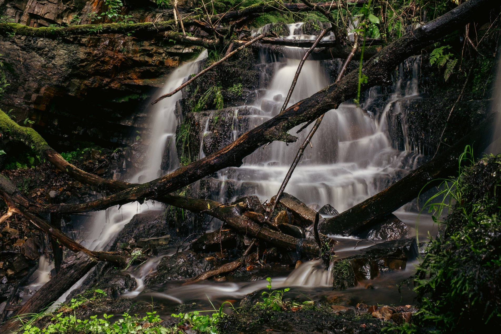small waterfall in forest
