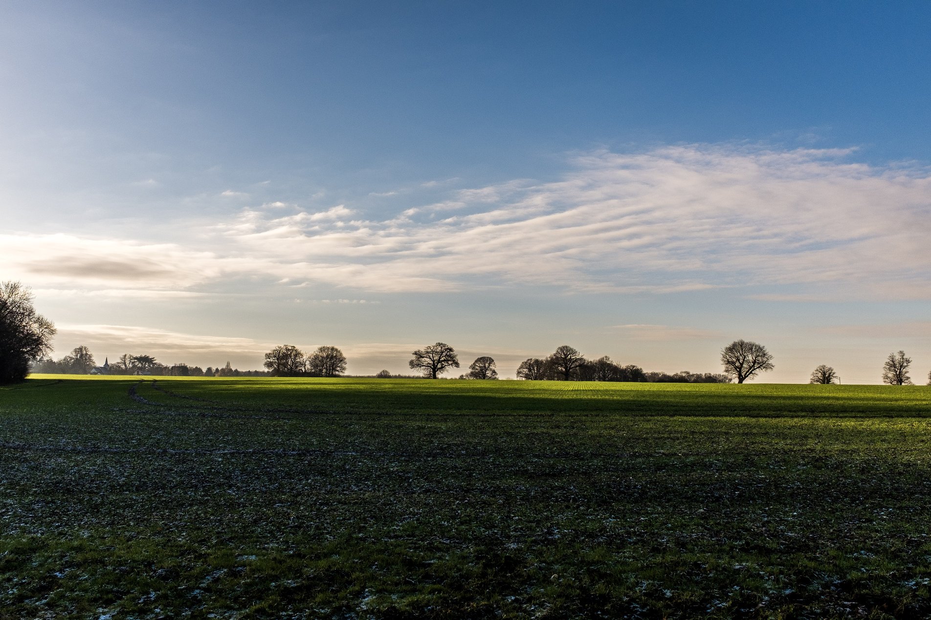 view across fields to tree line