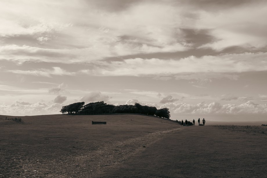 south downs landscape
