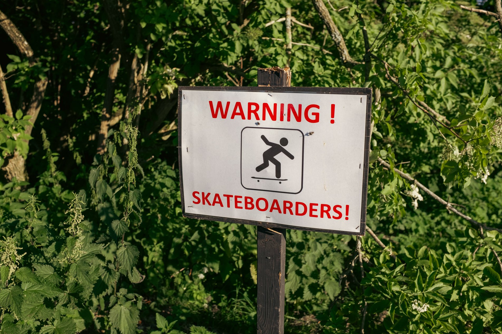 sign reading 'warning! skateborders!'