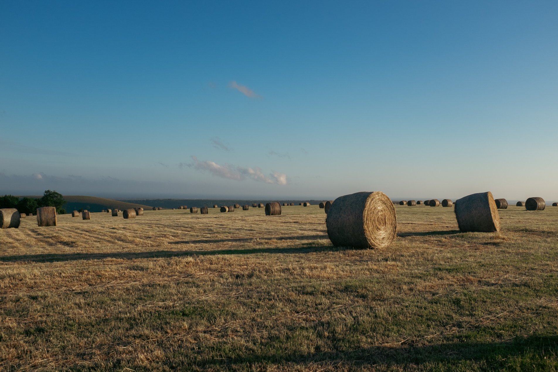 hay bales in the evening light