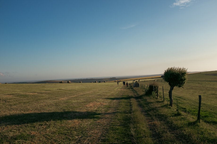 footpath along field edge at dusk