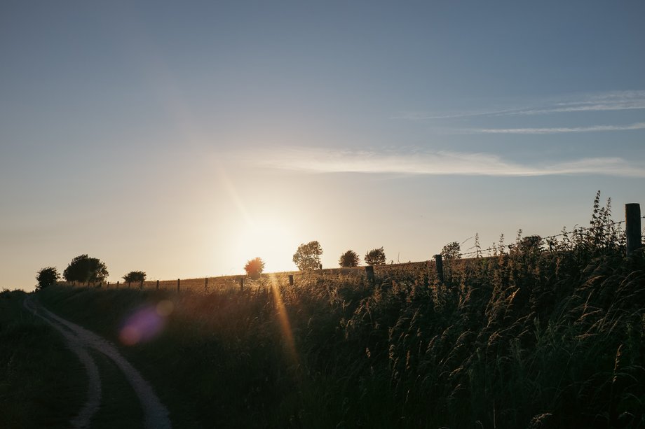 sun setting over field fence