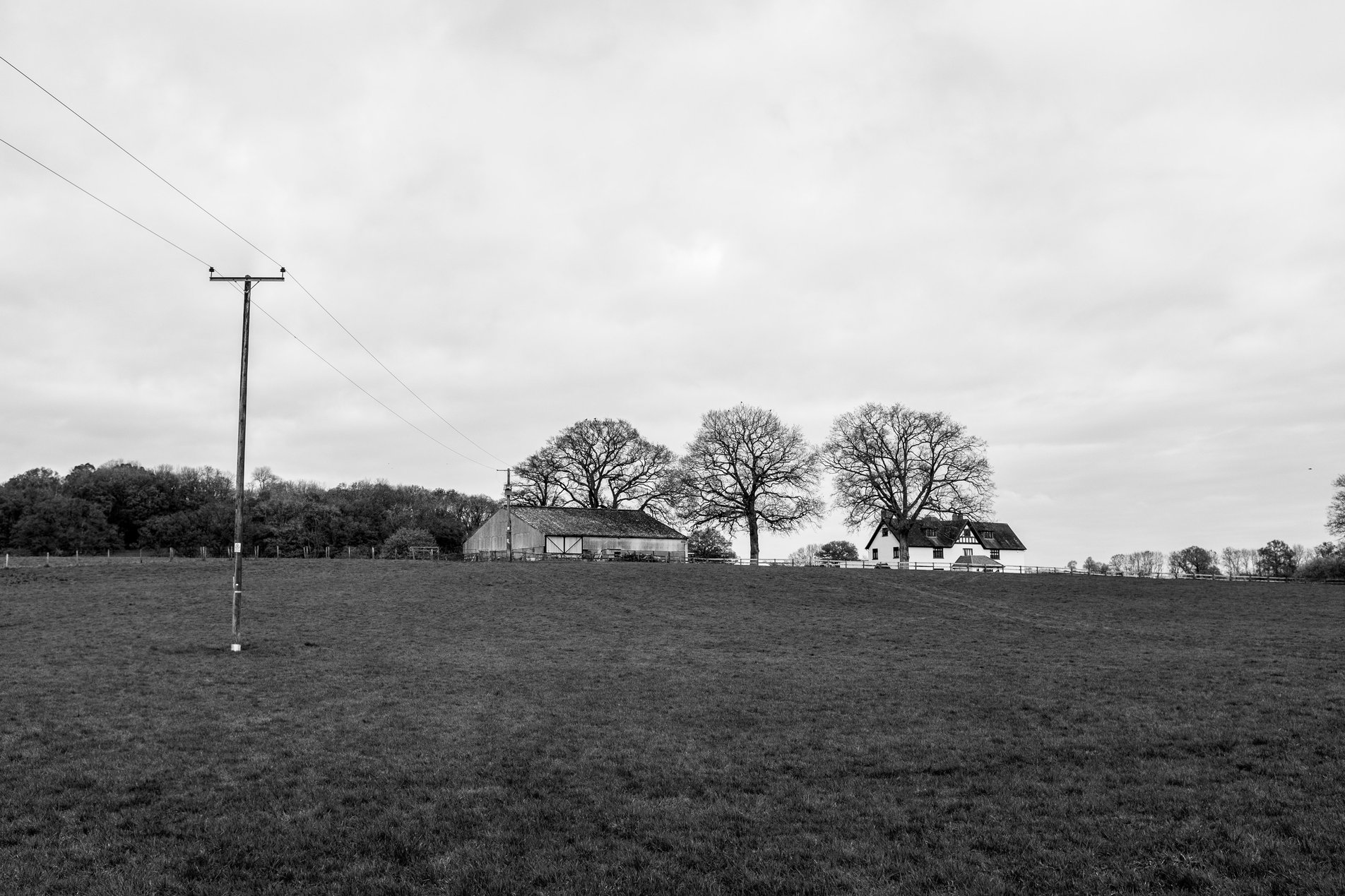 farm building and trees