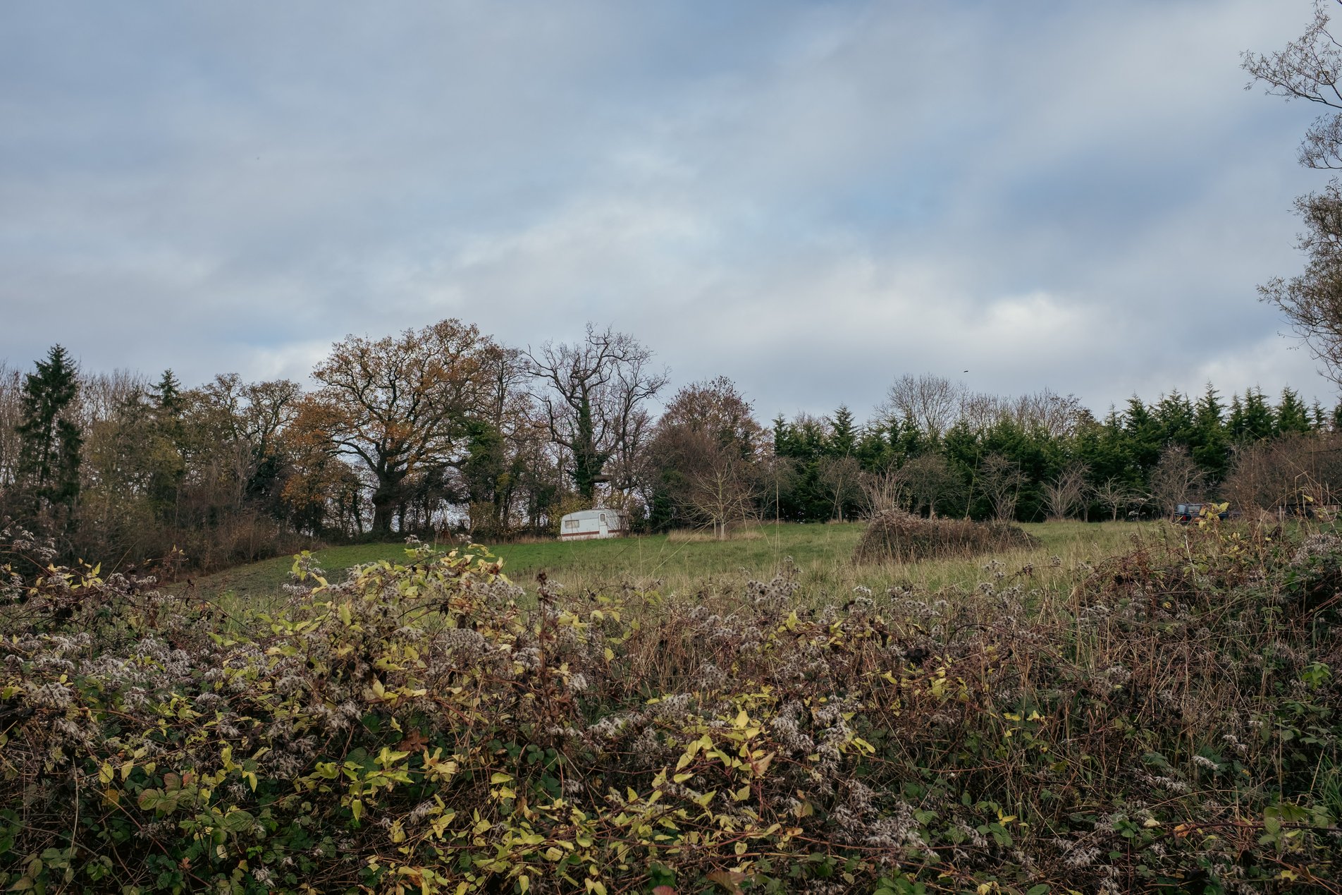 caravan in hedgerow