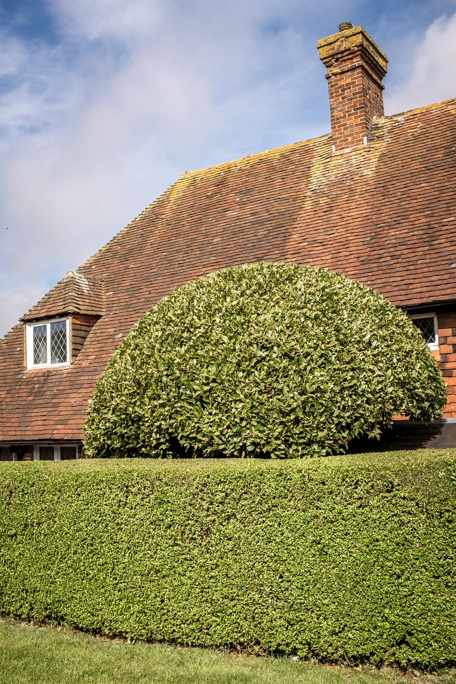 topiary hedge and cottage