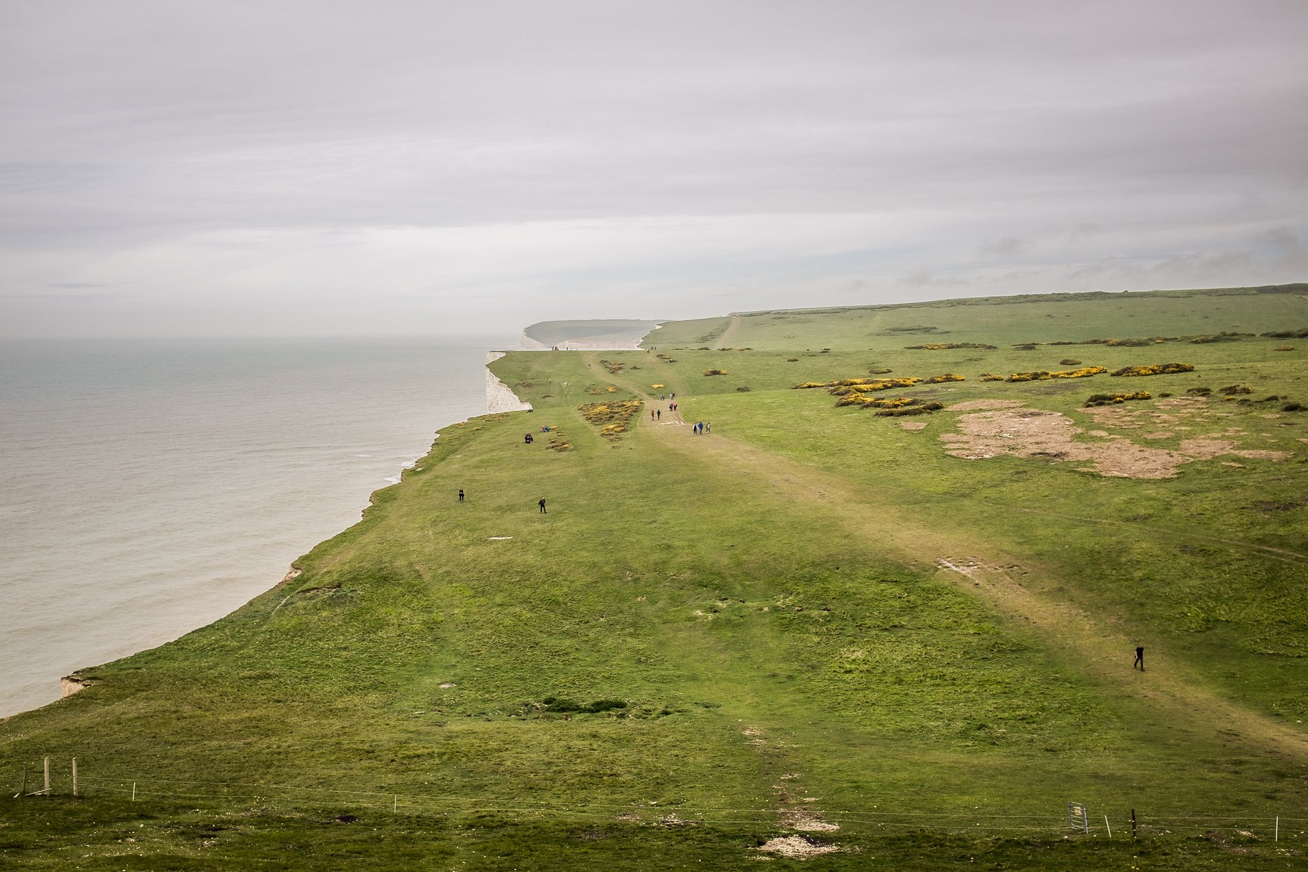 footpath above the seven sisters, birling gap