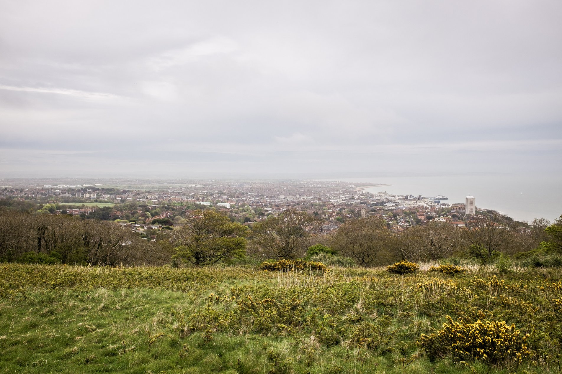 view over eastbourne