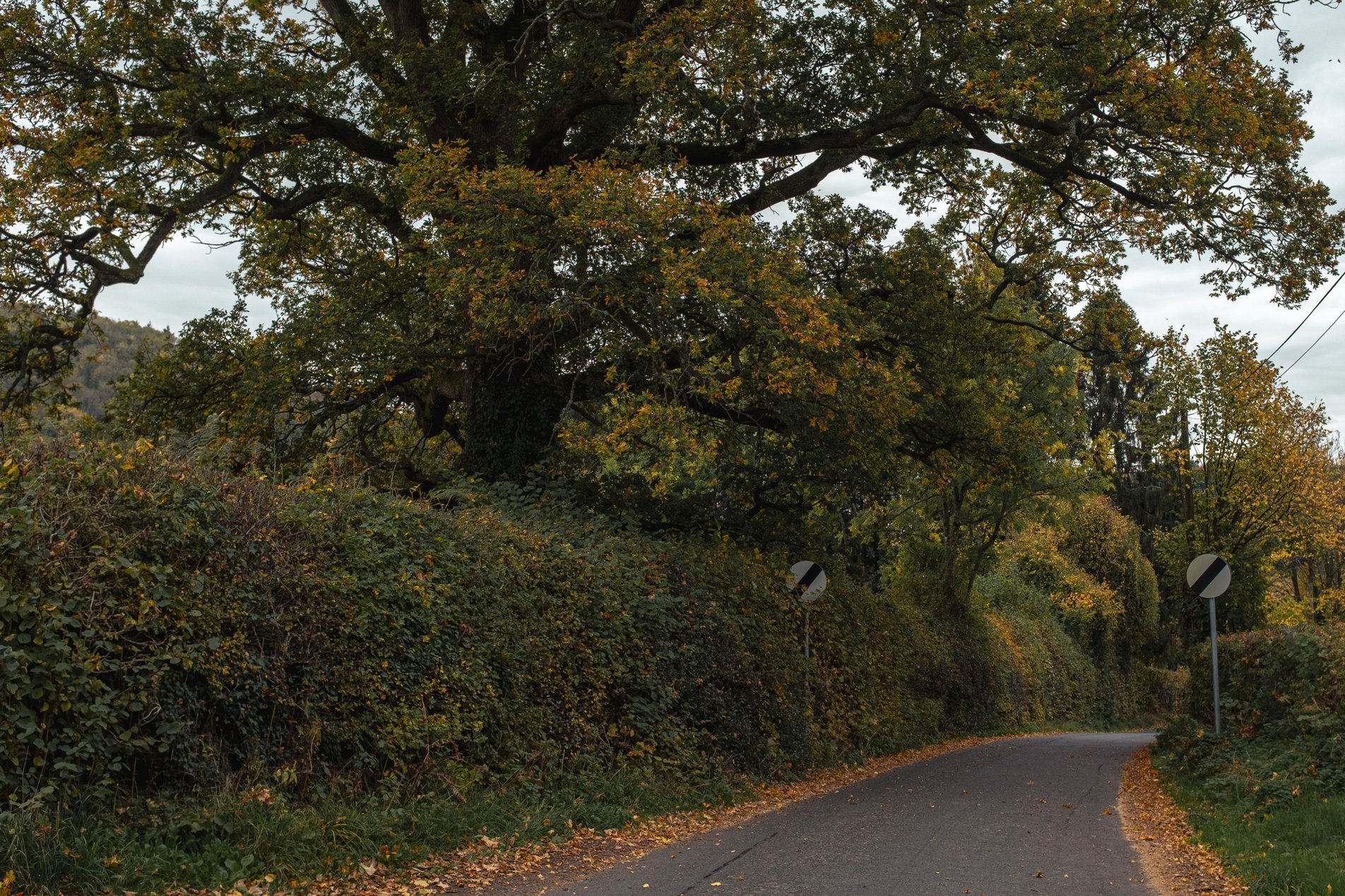 country lane with national speed limit signs