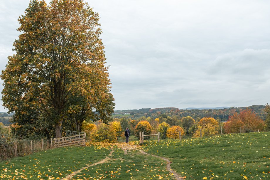 path through old golf course