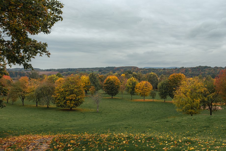 view over tree lined former golf club