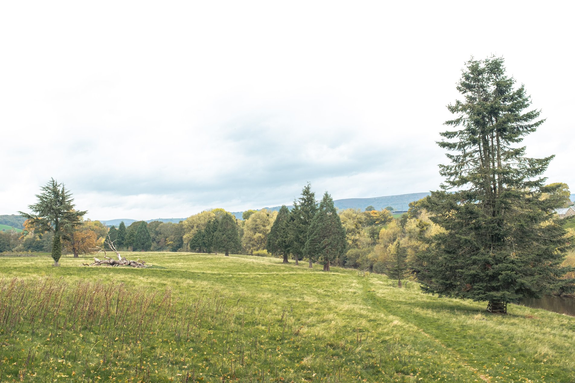 open land alongside the river usk
