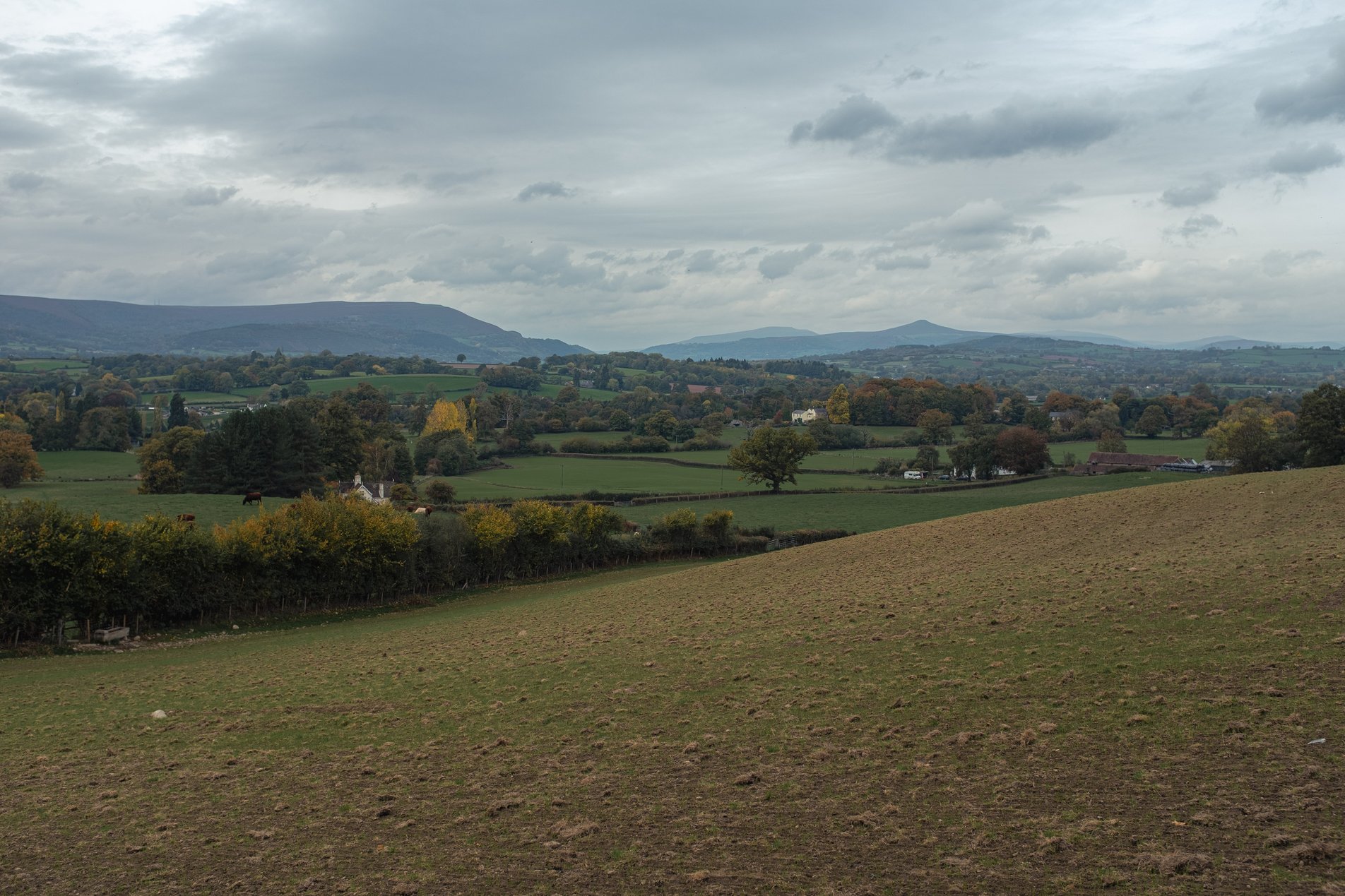 view over fields towards sugar loaf