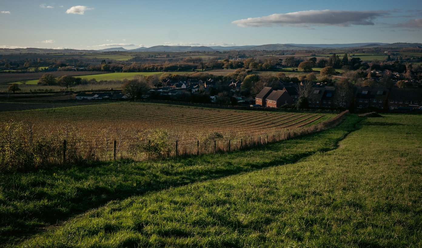 view over fields to houses
