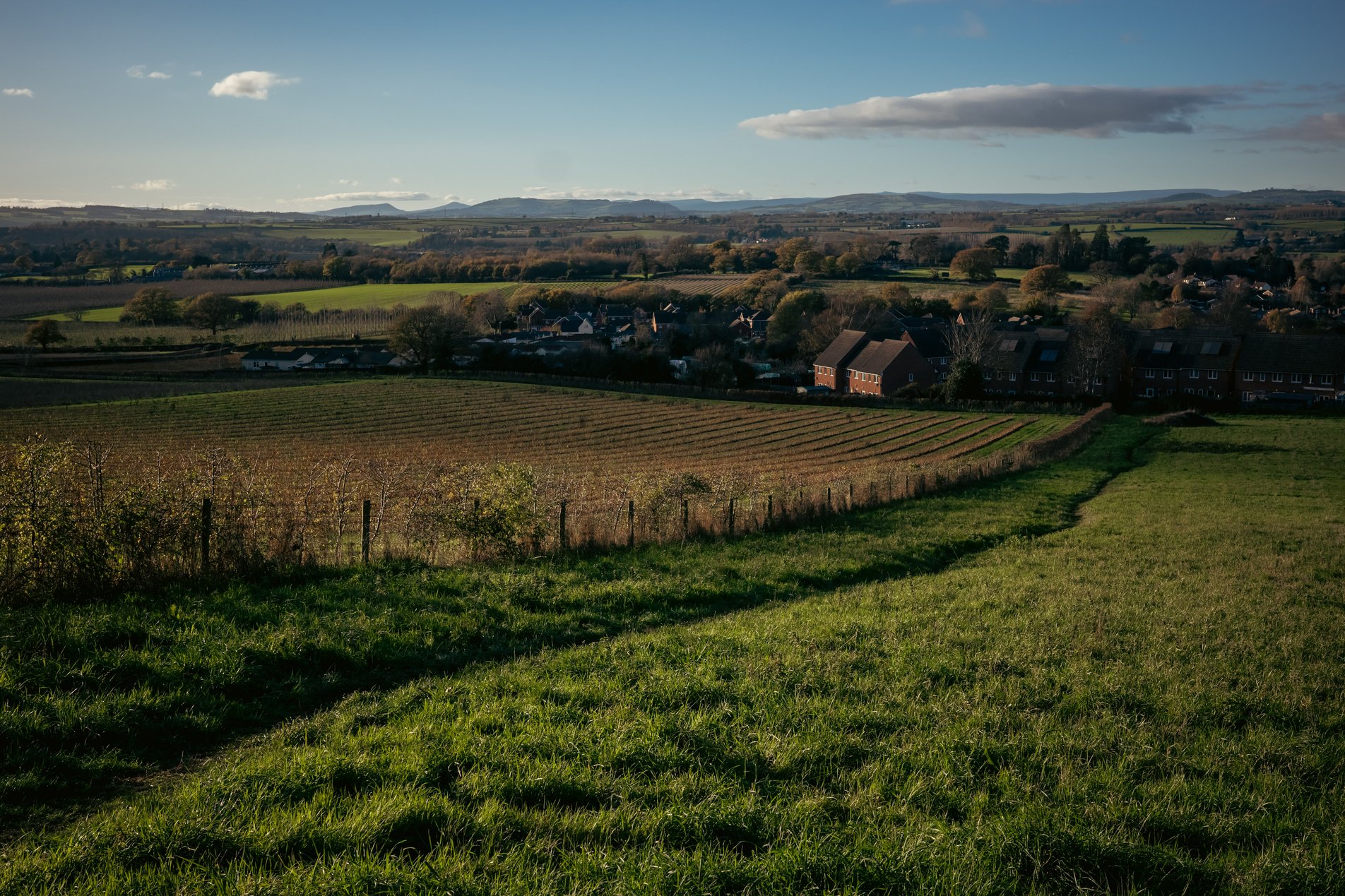view over fields to houses