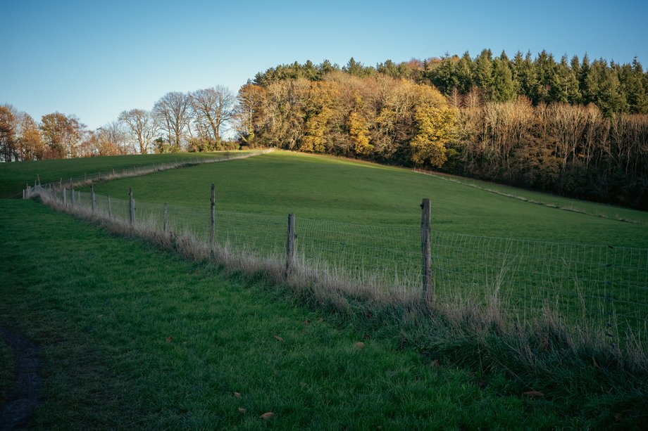 field footpath and fence