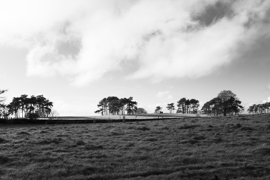 black and white winter landscape