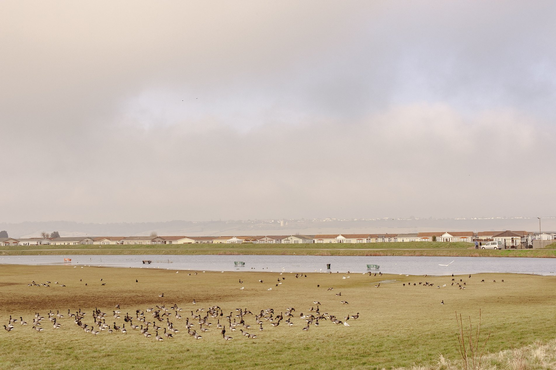 smallings creek, canvey island