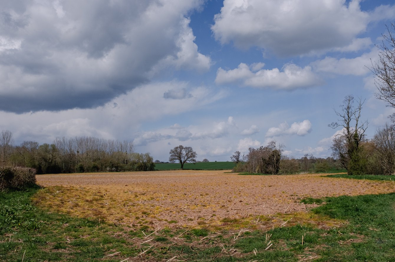 landscape with field in early spring