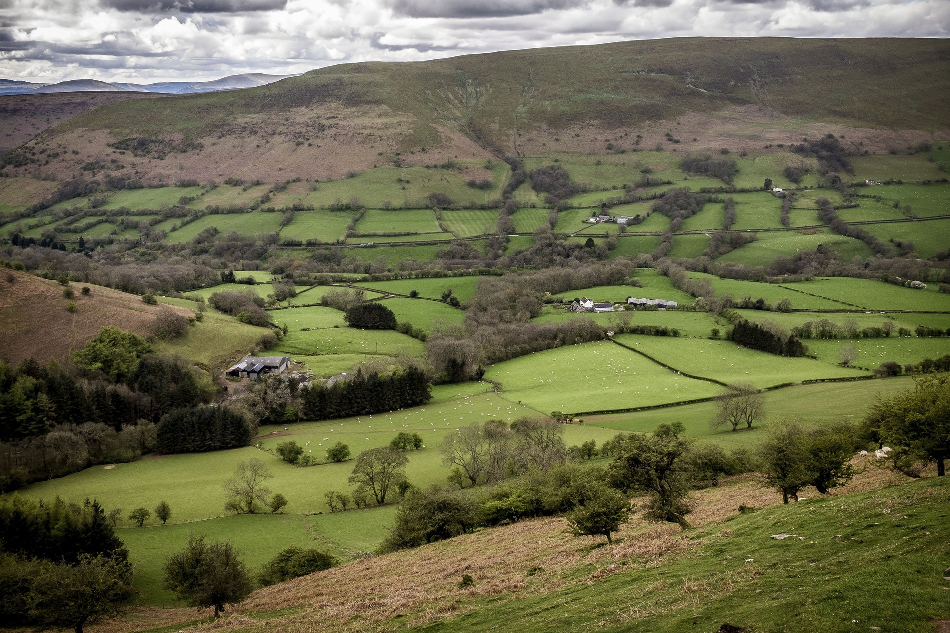view over fields from mountain