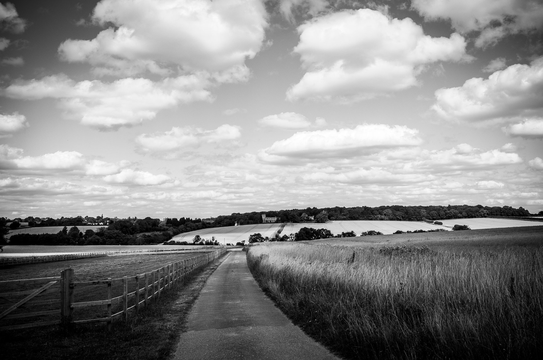 black and white shot of english countryside