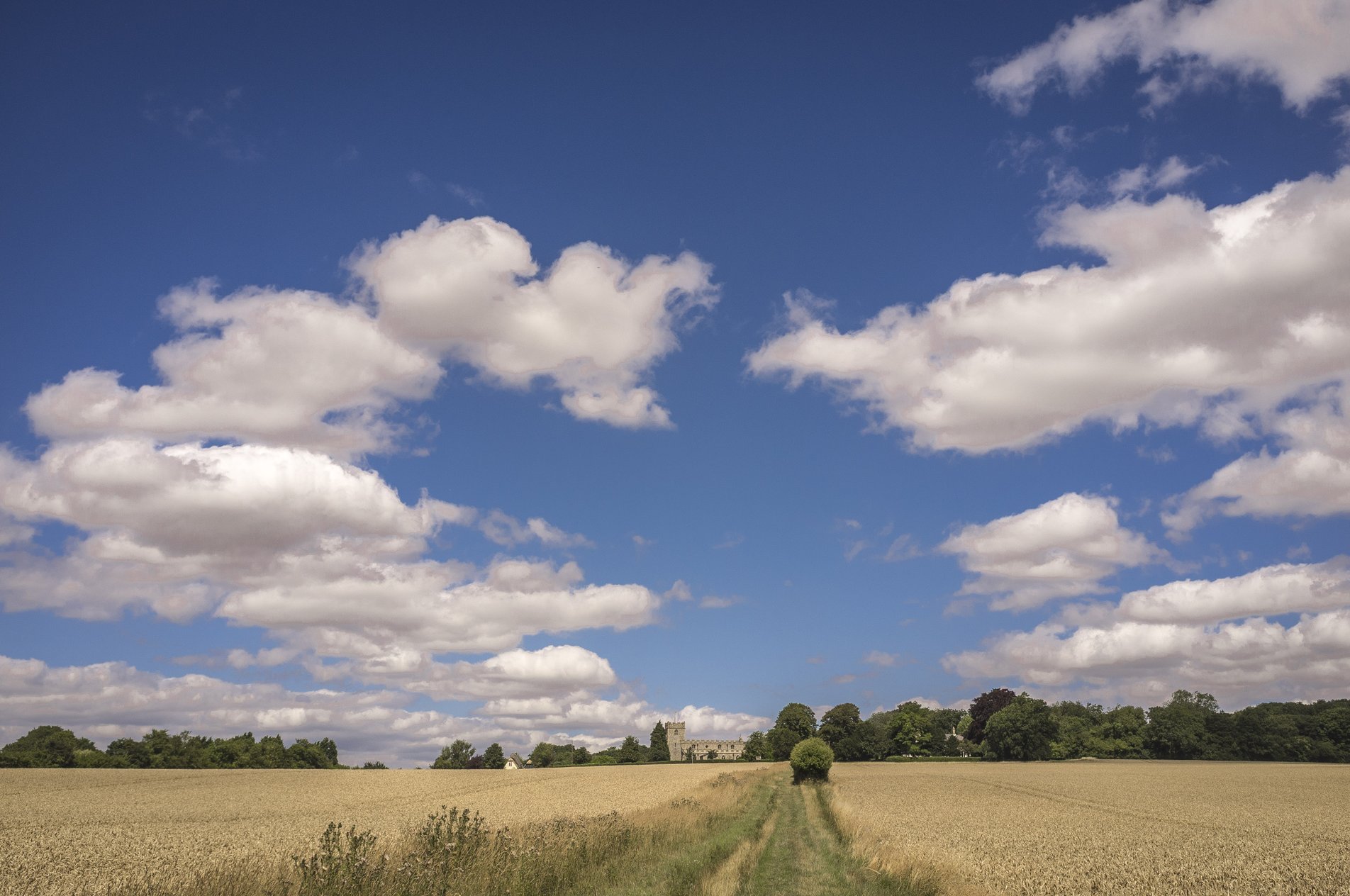 landscape view of footpath with church in distance, blue sky and large white clouds