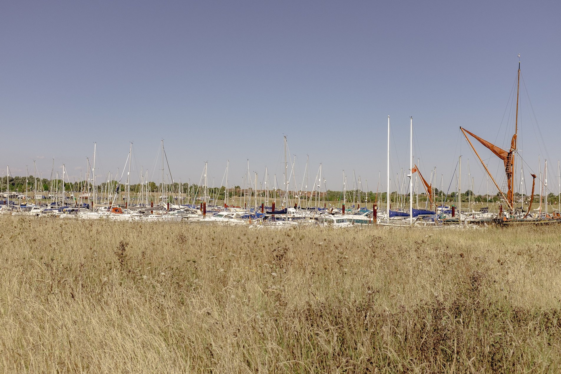 view over grasses to burnham yacht harbour