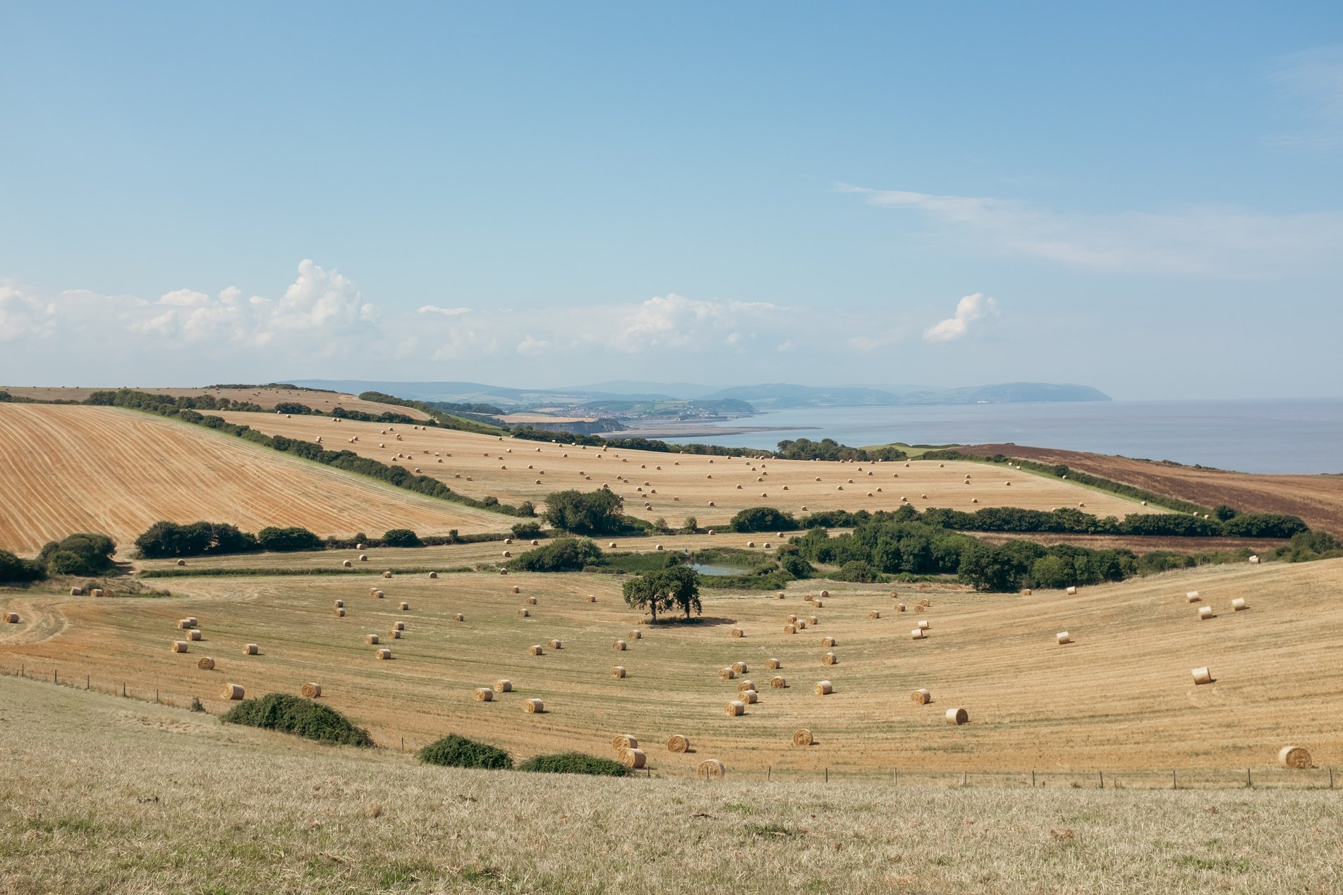 view over fields to sea