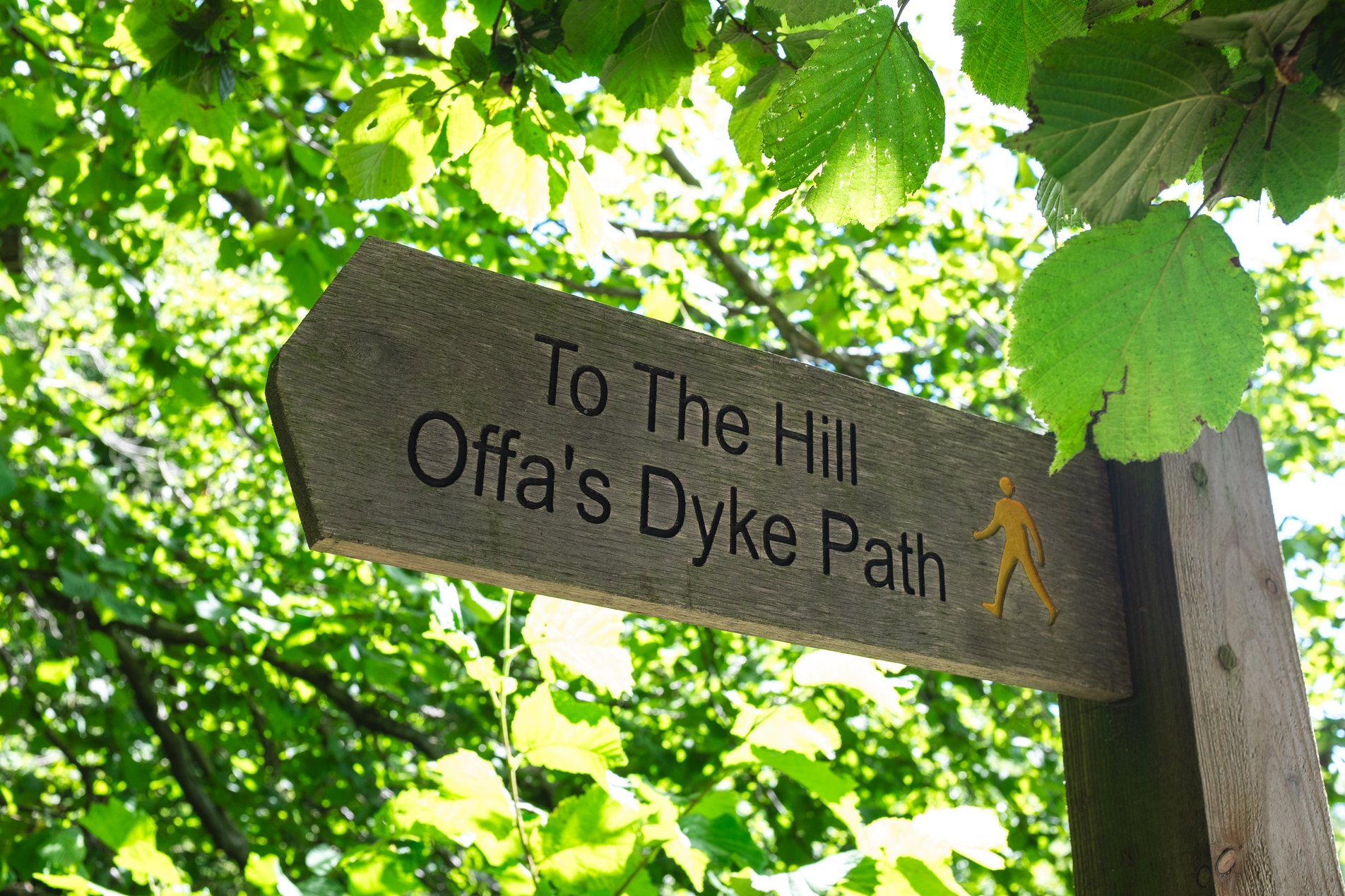 signpost for the hill and offa's dyke path