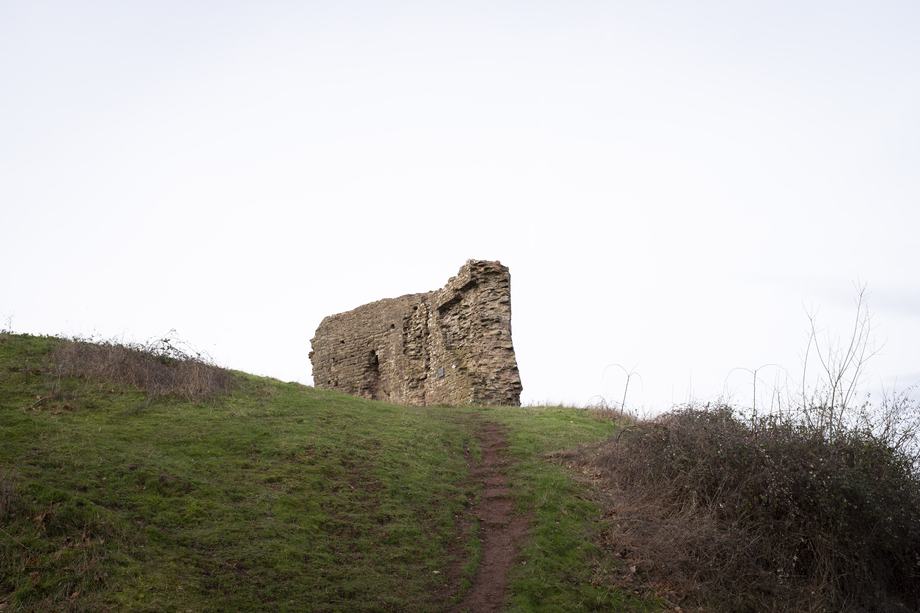 A narrow dirt path climbs a grassy hill toward the crumbling stone remains of an old wall, framed by low bushes under a pale overcast sky.