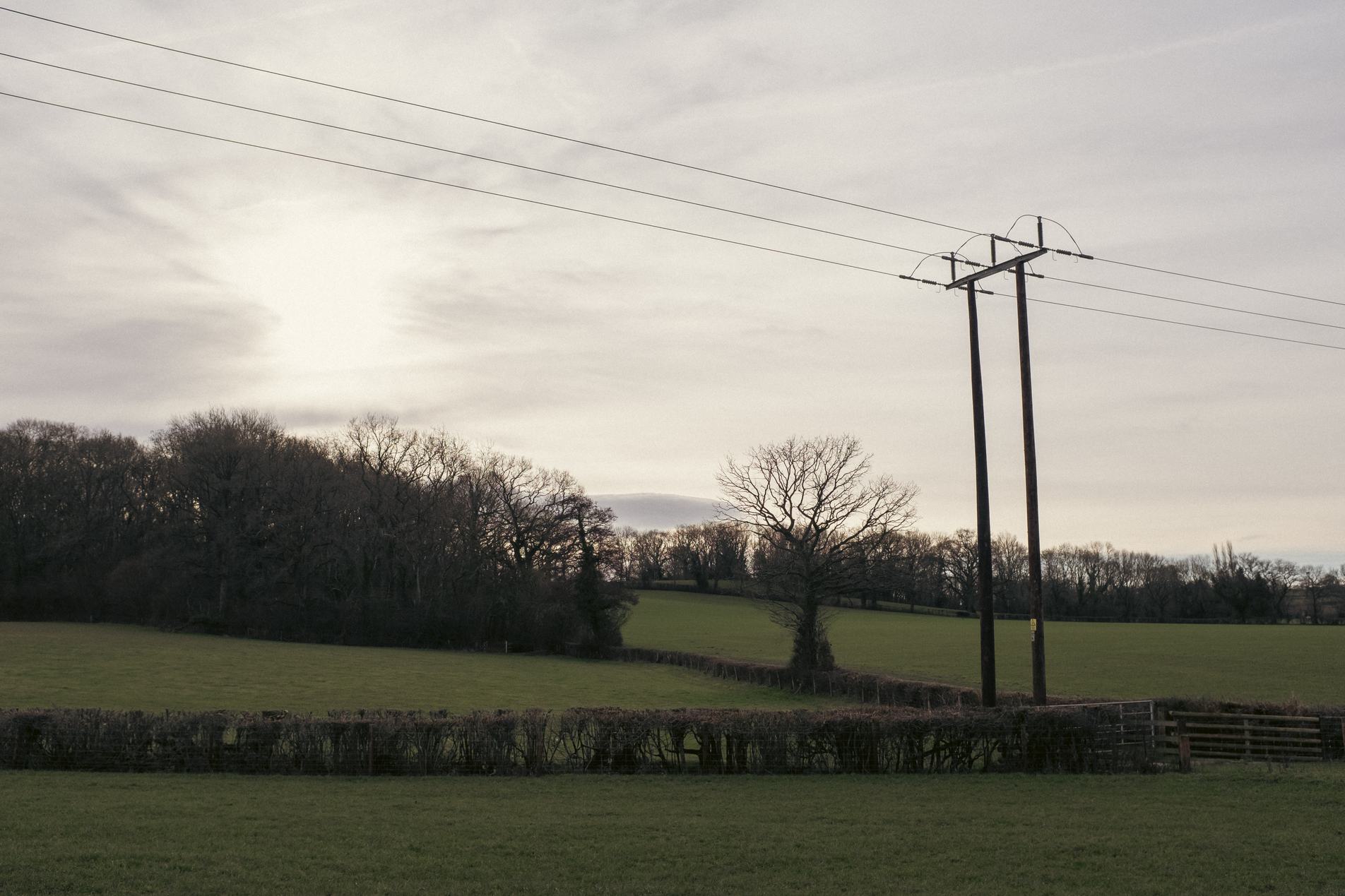 Quiet rural scene of rolling green fields and hedgerows with bare trees and a pair of tall utility poles carrying power lines beneath a pale, cloudy sky.