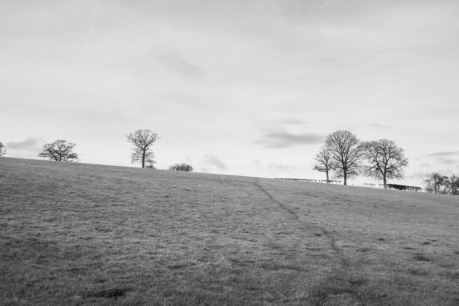 Black-and-white landscape of a gently sloping grassy field with a faint worn path leading toward the horizon, dotted with a few leafless trees beneath a wide, cloudy sky.