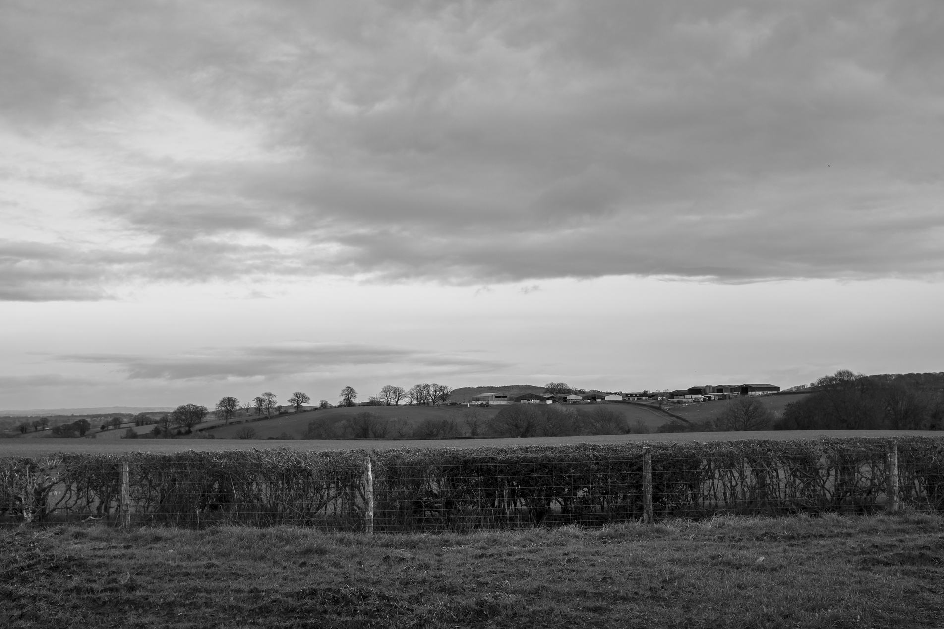 Black-and-white landscape of rolling countryside: a hedgerow and wire fence in the foreground, fields and distant farm buildings and trees across gentle hills under a wide cloudy sky.
