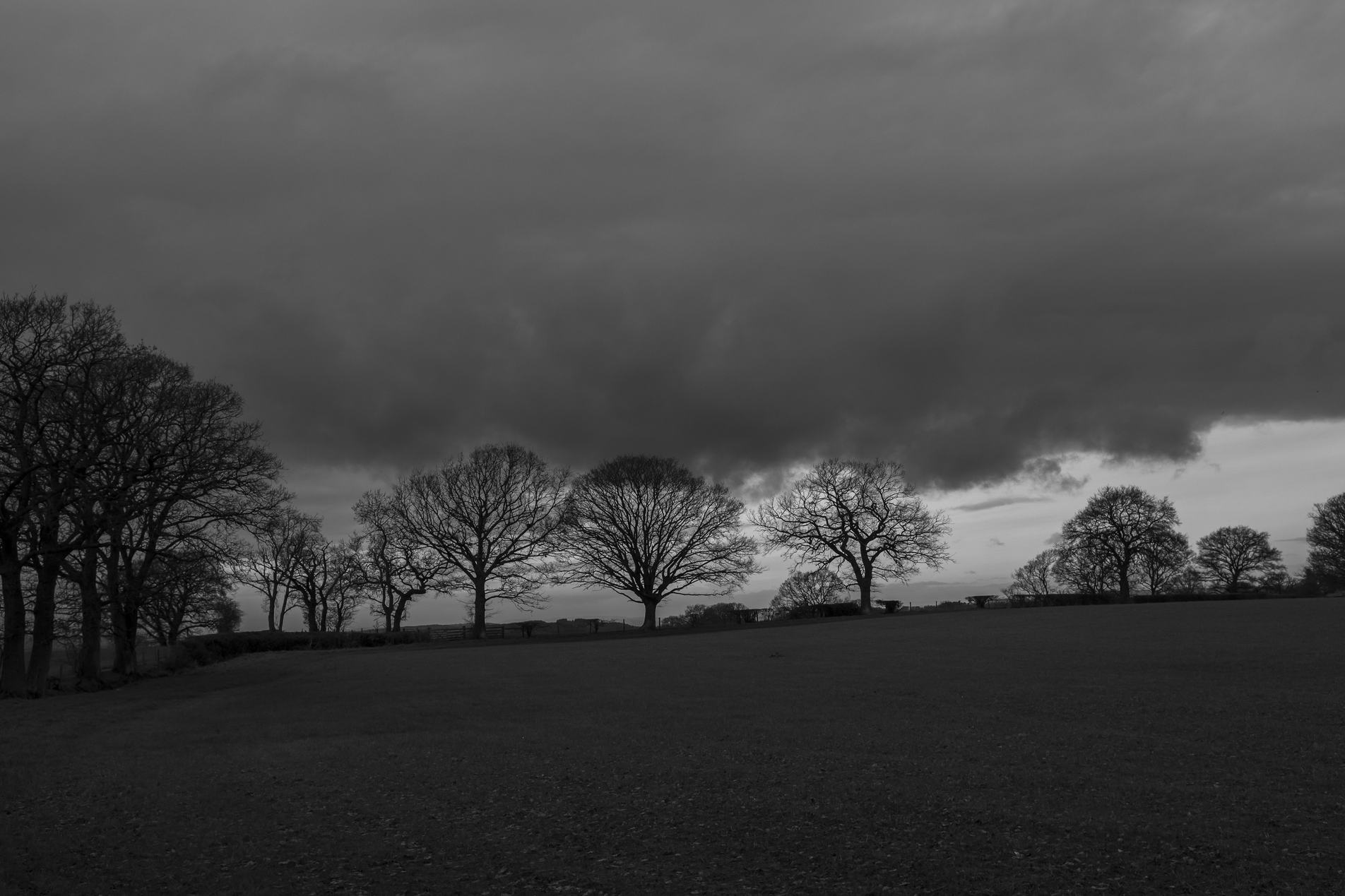 Black-and-white landscape: a wide open field with a row of leafless trees silhouetted against a low, dramatic band of dark storm clouds on the horizon.