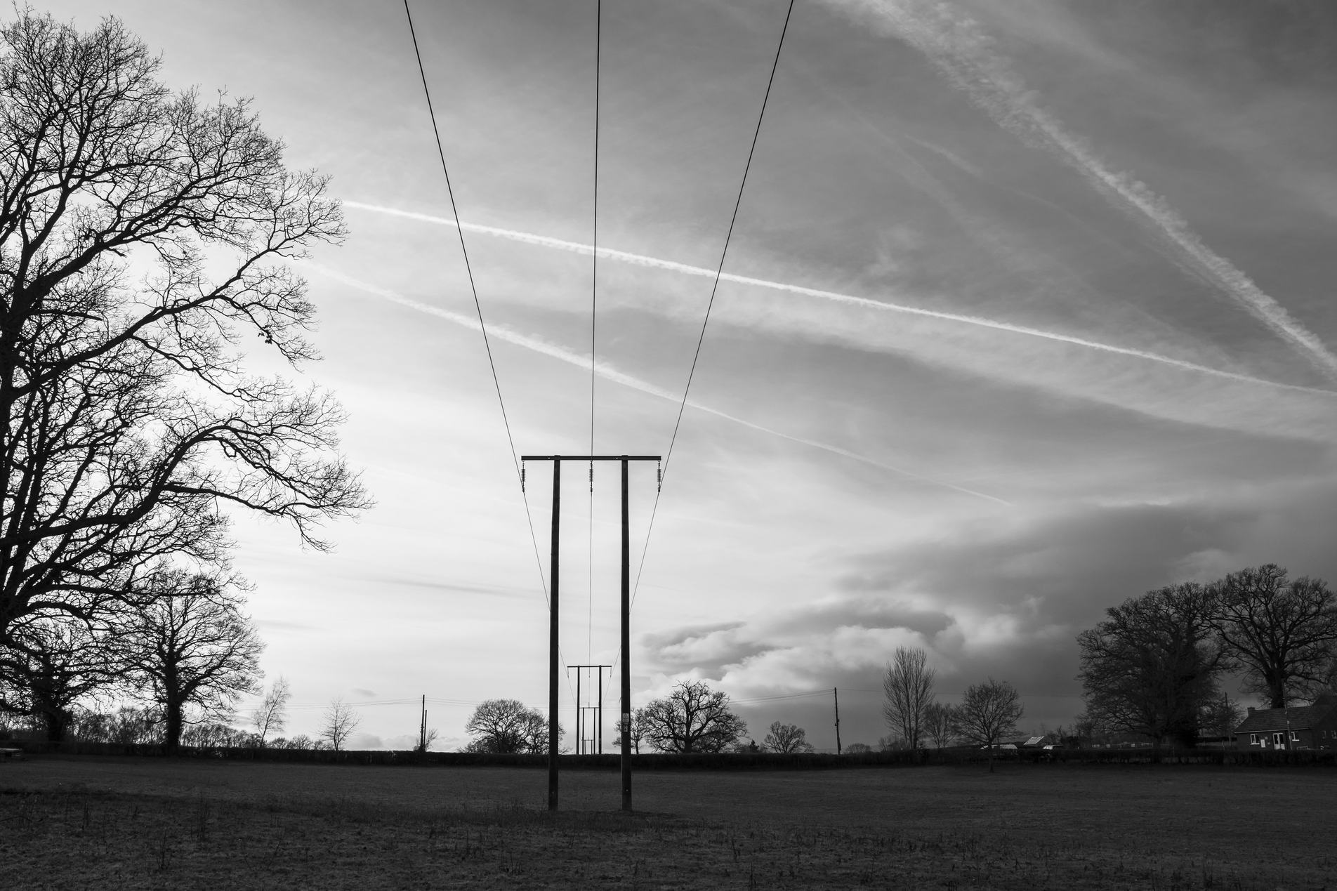 Black-and-white landscape: slender electricity pylons and power lines stretch across an open field, framed by bare trees beneath a dramatic sky streaked with clouds and airplane contrails.