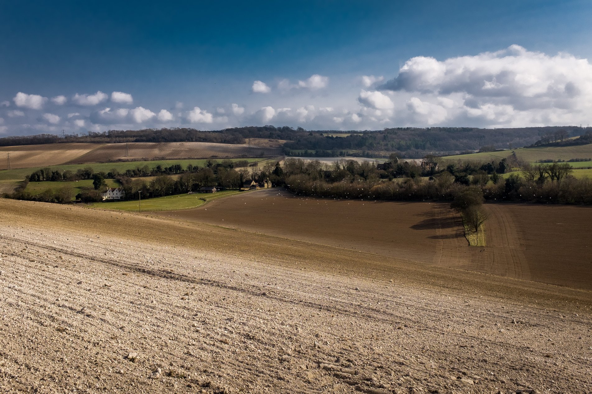 winter fields with blue skies