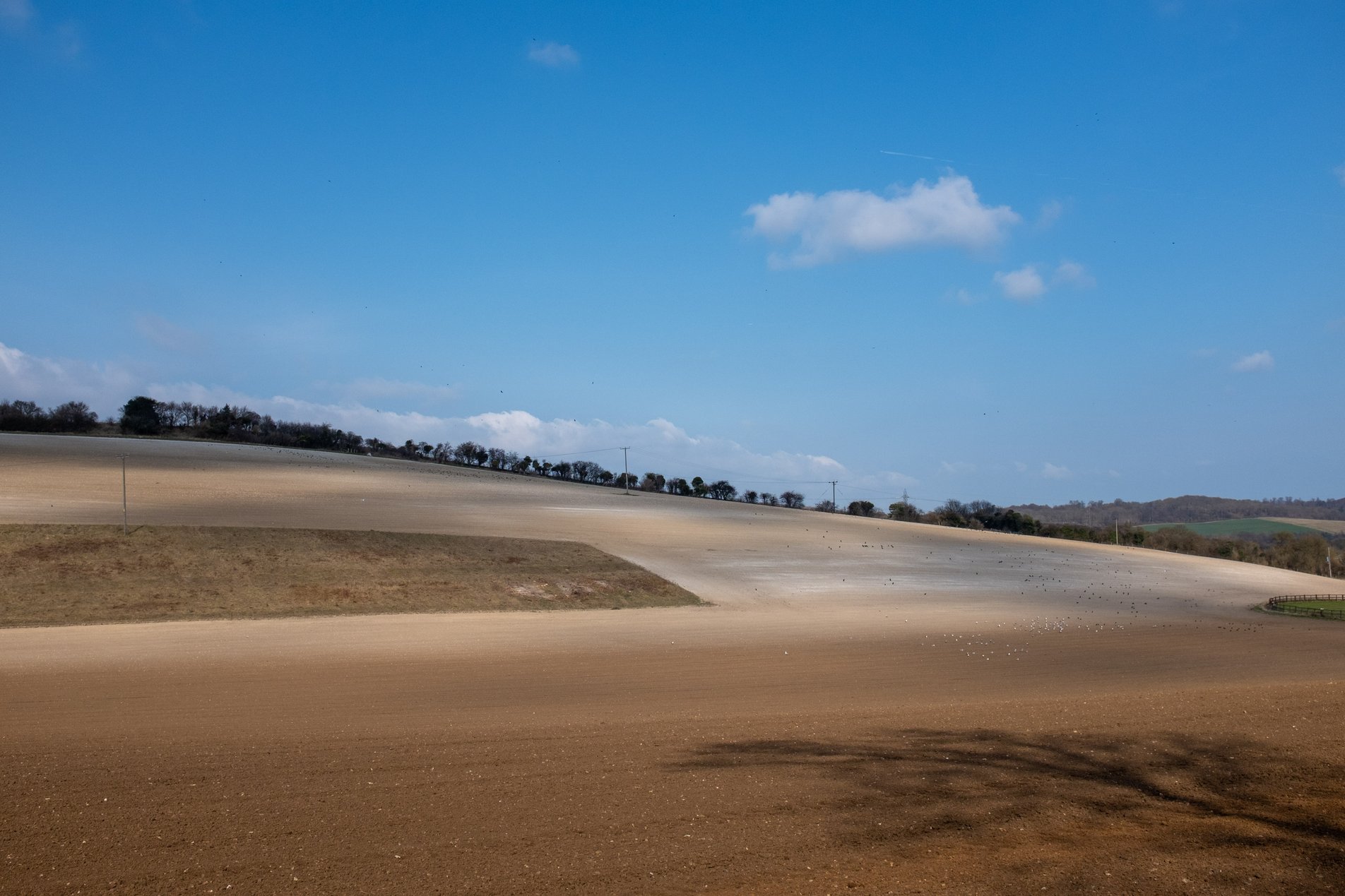 english winter field landscape