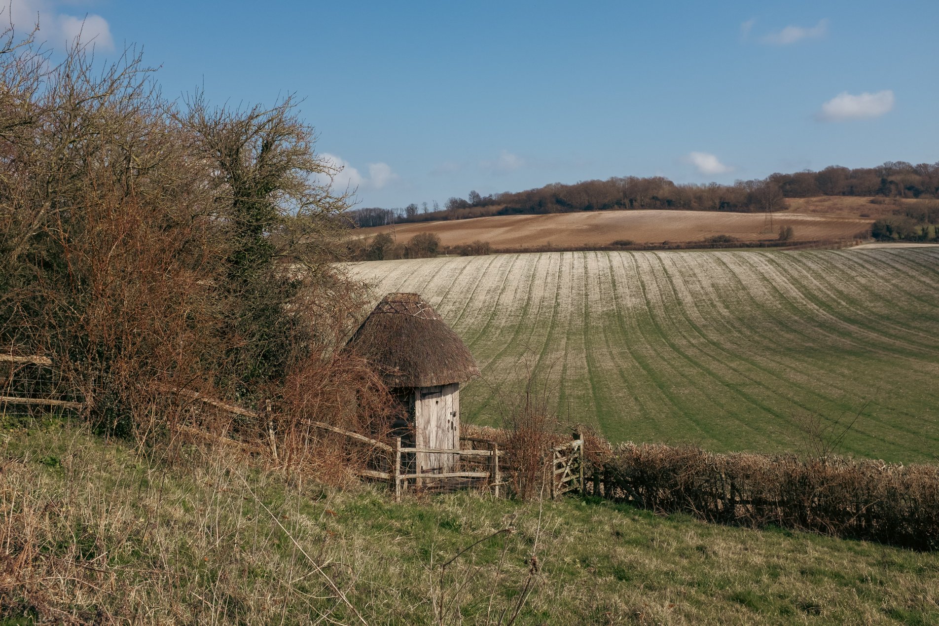 thatched hut in field