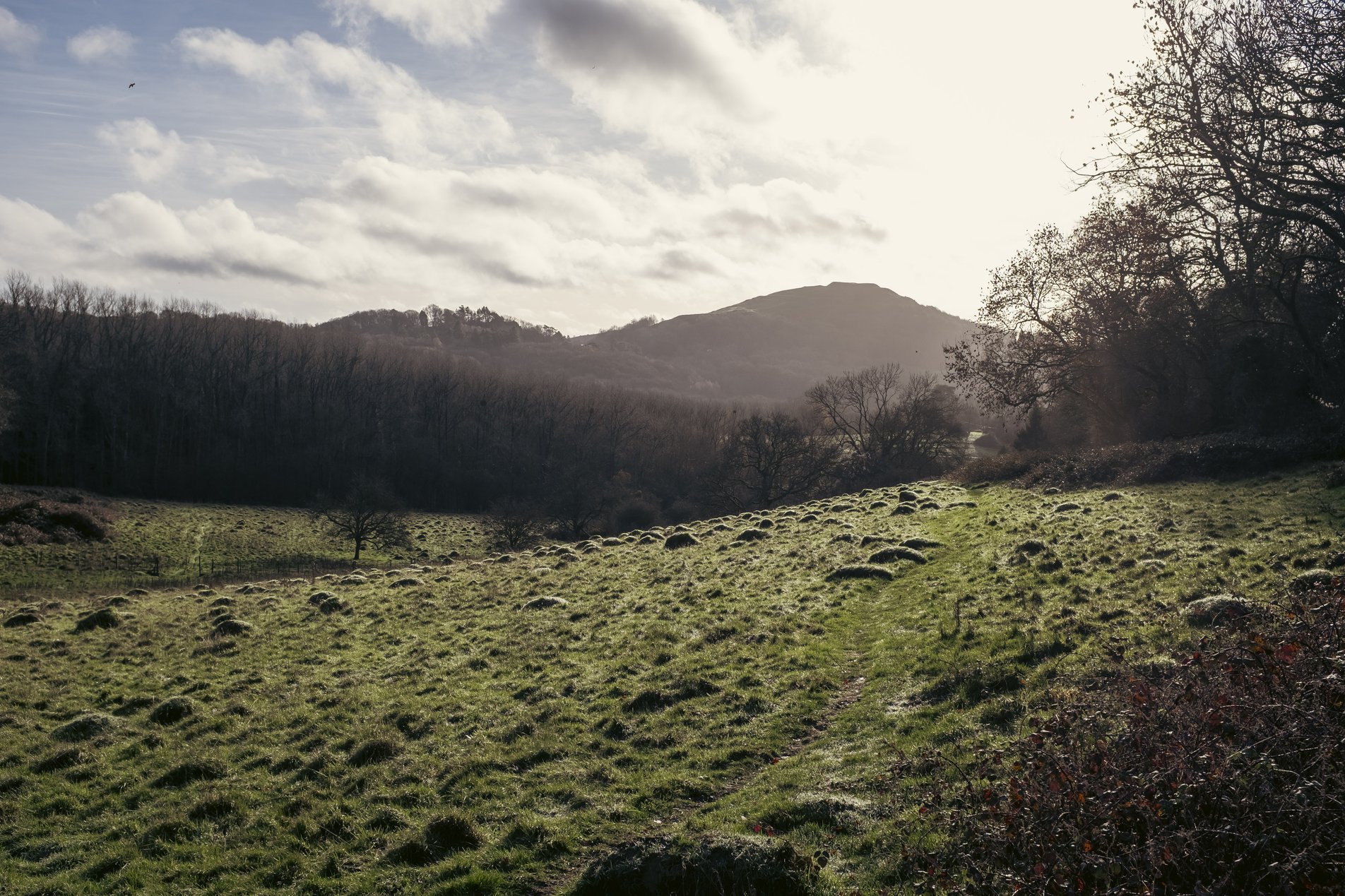 landscape view of malvern hills