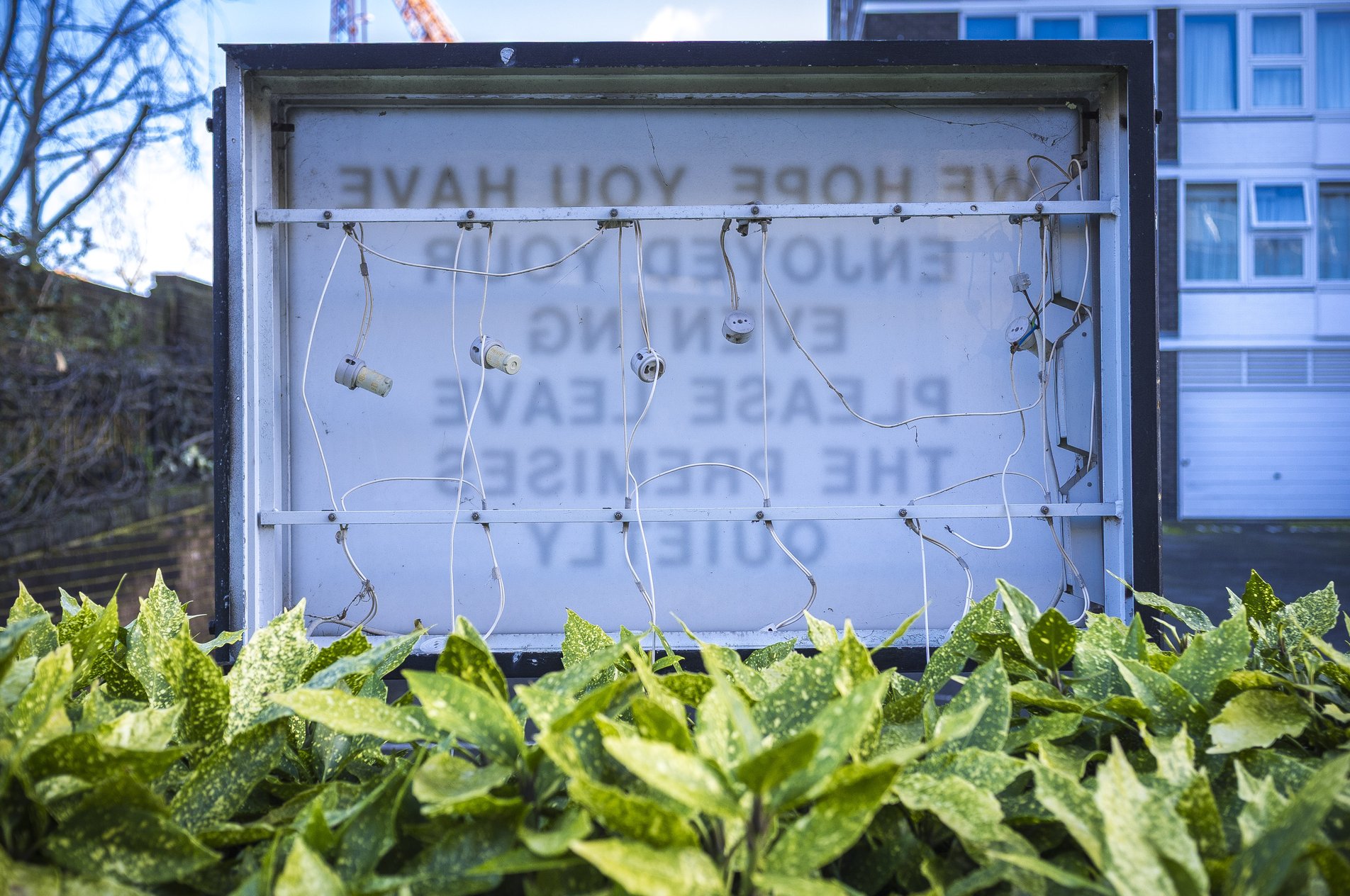 Back of an empty outdoor signboard showing exposed light sockets and tangled wiring above a row of green shrubs, with buildings in the background.