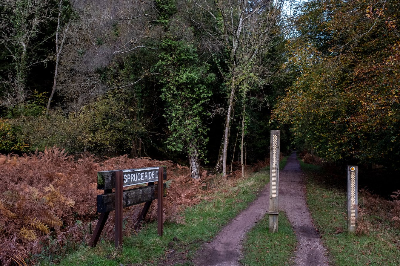 forest cycle and walking path