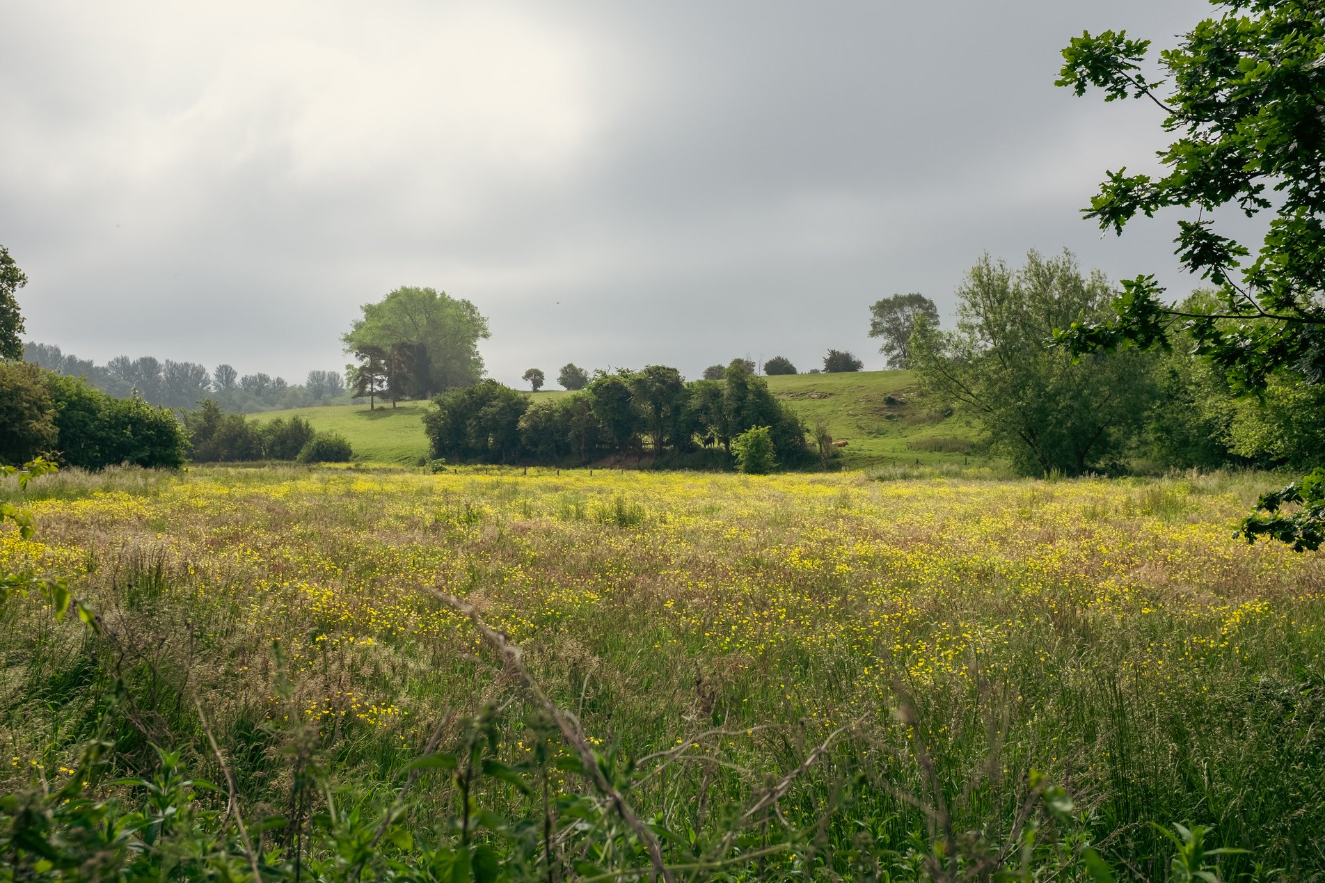 rural english landscape