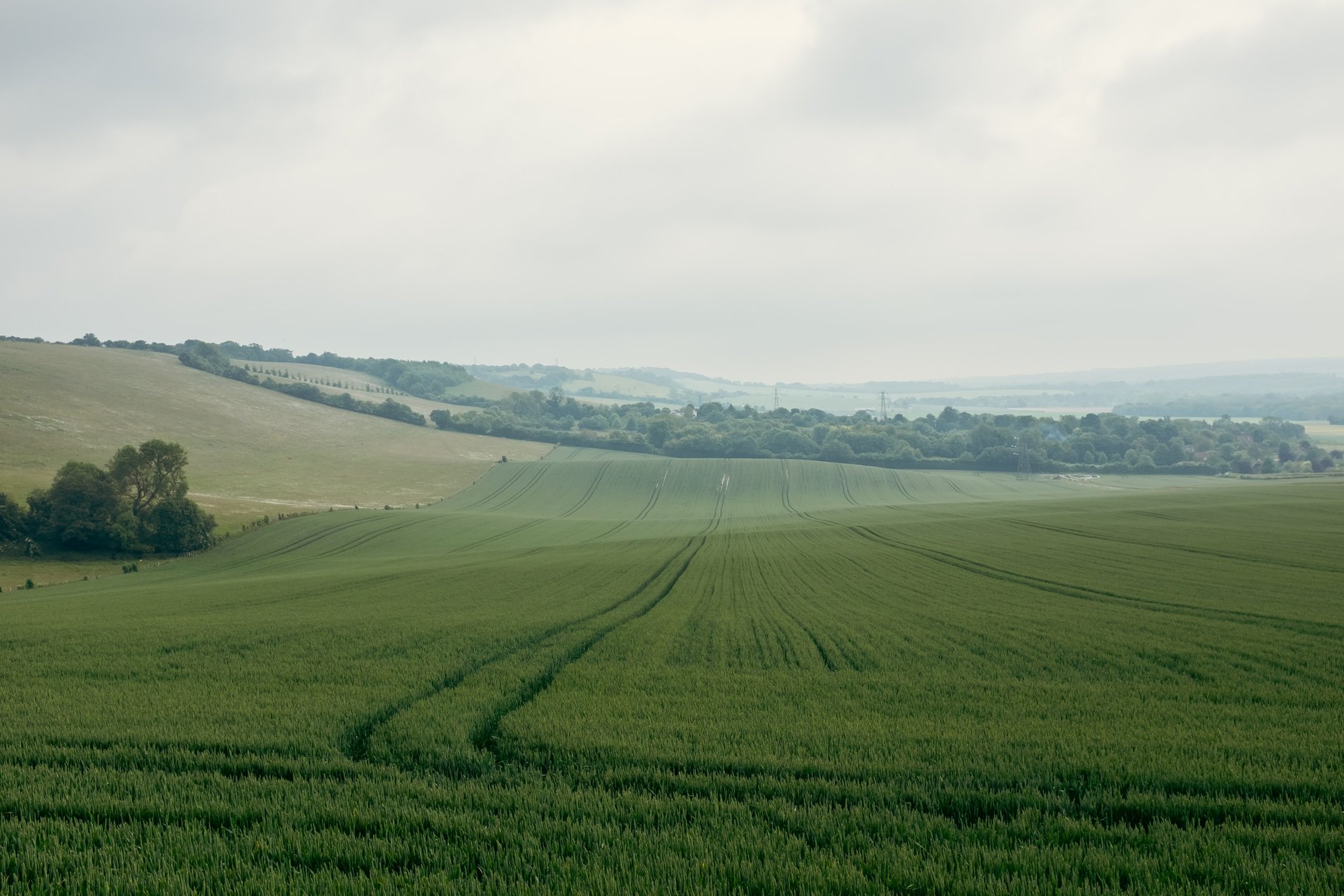 rural english landscape