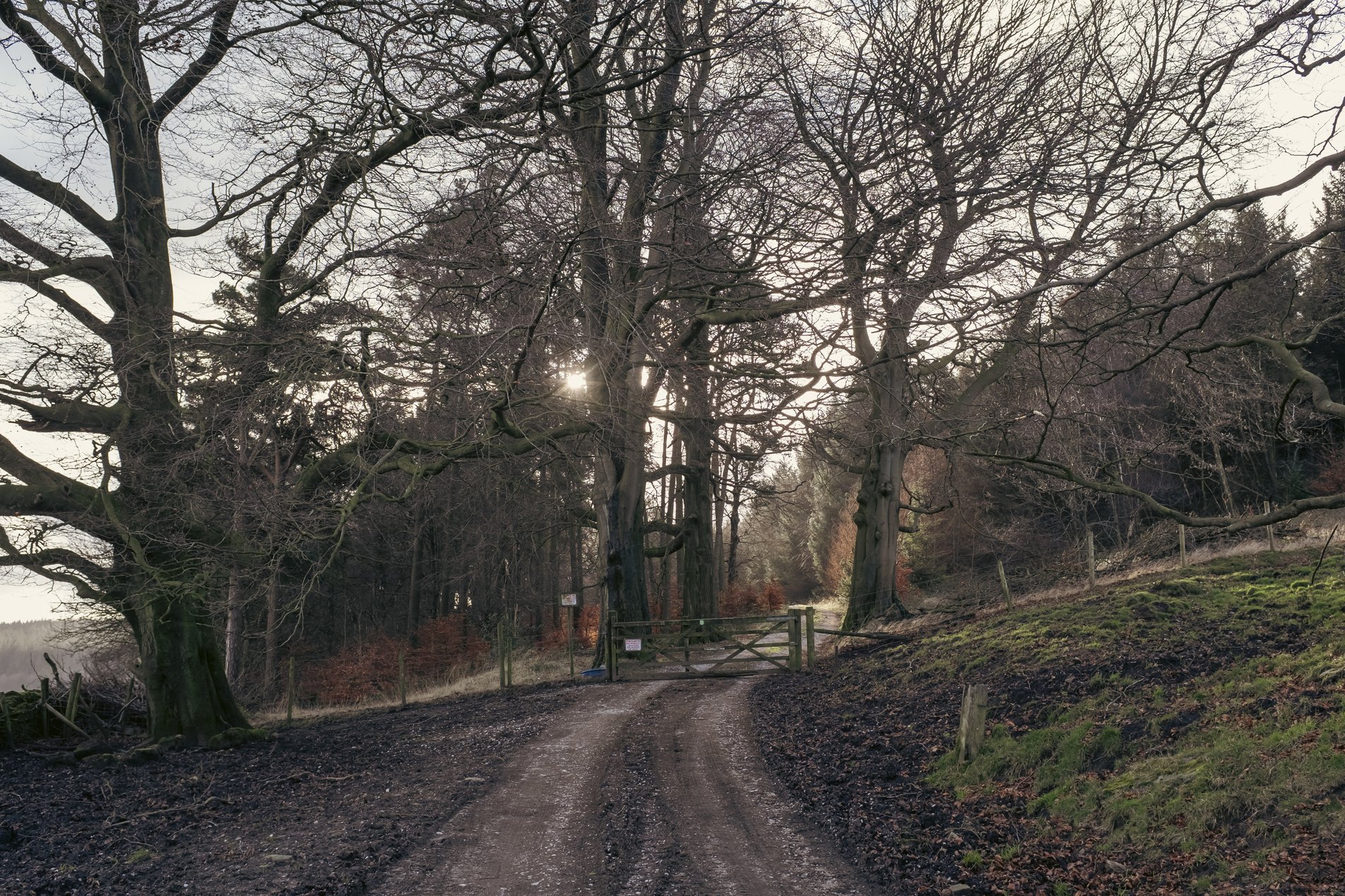 track and gate in winter