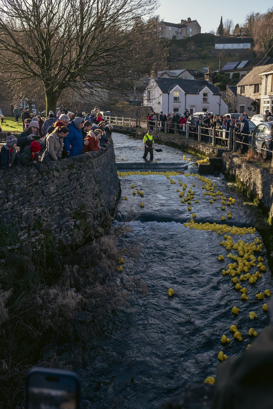 yellow ducks on the river for the boxing day duck race in bradwell
