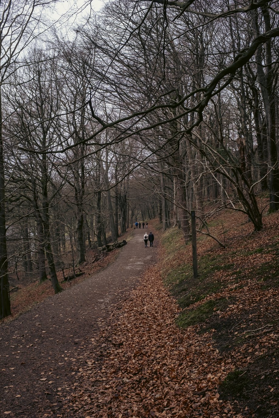 path alongside the ladybower reservoir