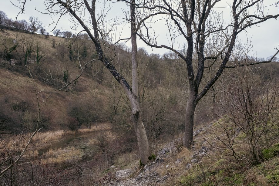 monk's dale national nature reserve