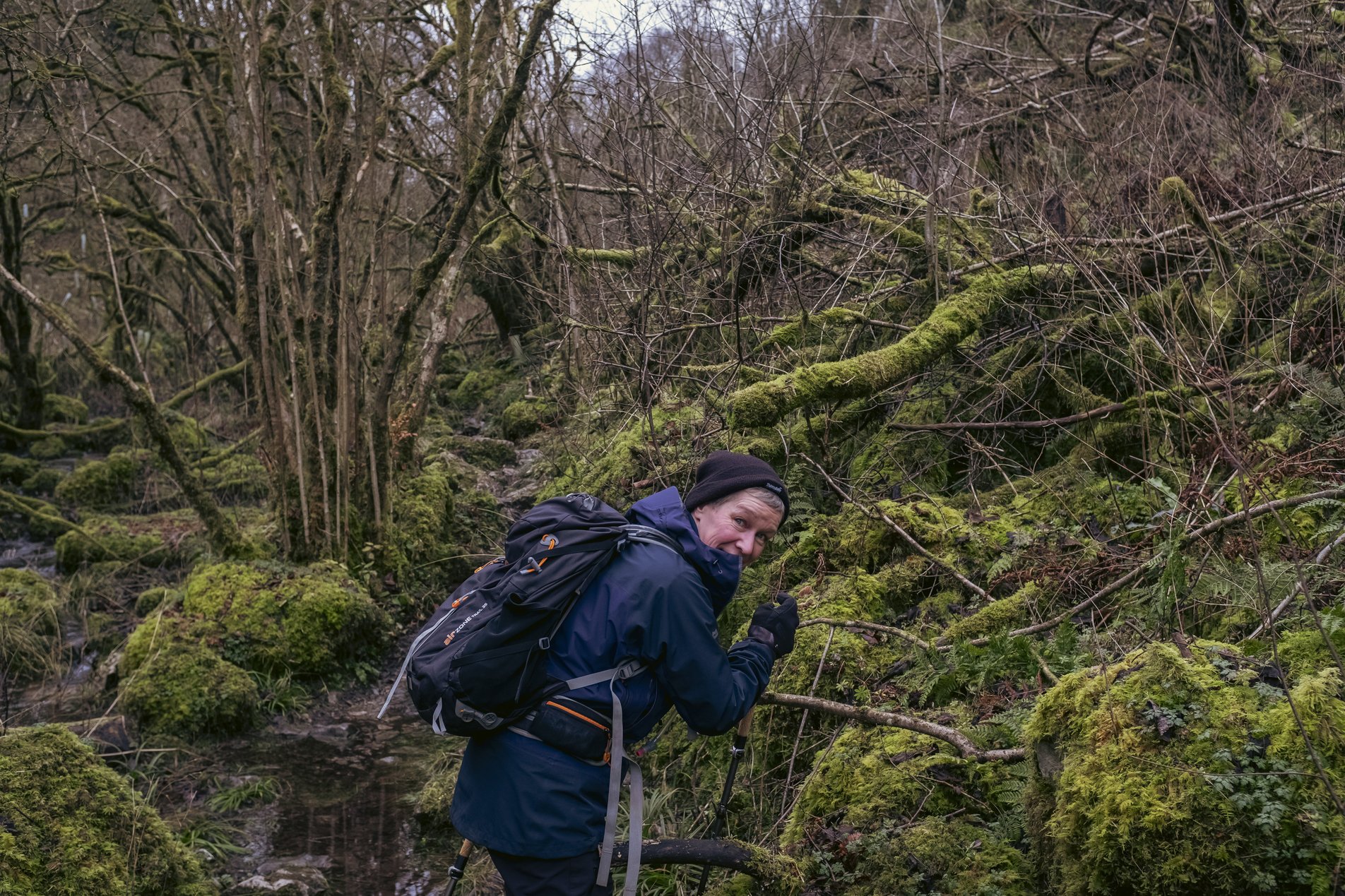 walker in moss covered forest