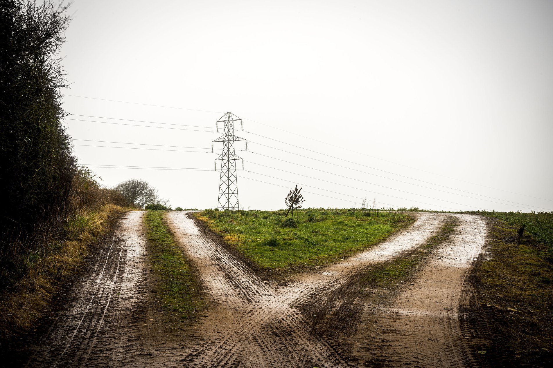 diverging pathways through field with pylon